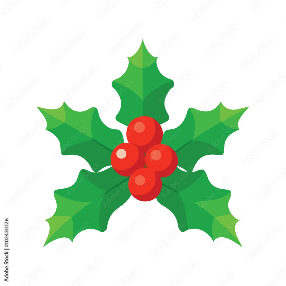 Christmas holly with red berries Christmas holly with red berries