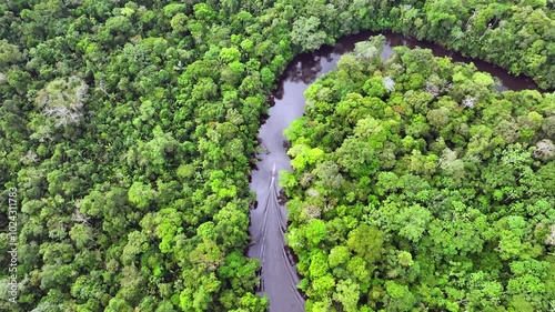 Aerial shot above canoe cruising a curvy river in the Cuyabeno wildlfe reserve Ecuador - Amazonian rainforest photo