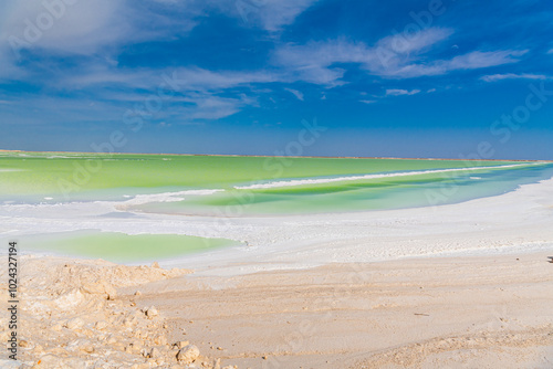 Salt and emerald water of Qarhan or Chaerhan lake around Golmud city, Qinghai, China photo