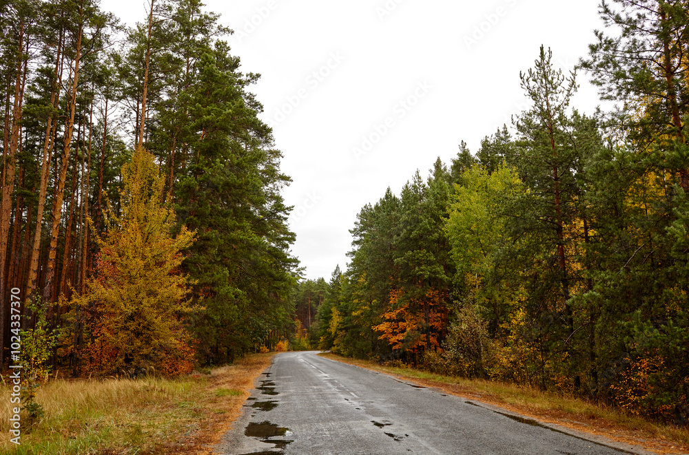 Asphalt twisty suburban road at autumn. A bend road at rural Europe. The bright colors of fall Asphalt twisty suburban road at autumn. A bend road at rural Europe. The bright colors of fall