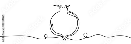 Continuous linear drawing of pomegranate. One line drawing garnet. Pomegranate in one line style. Vector illustration.
