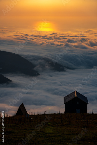 misty mountains