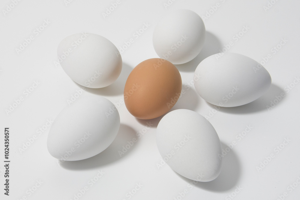 Chicken eggs laid out in the shape of a chamomile flower Chicken eggs laid out in the shape of a chamomile flower