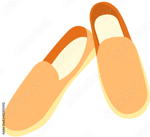 woman shoe sandal