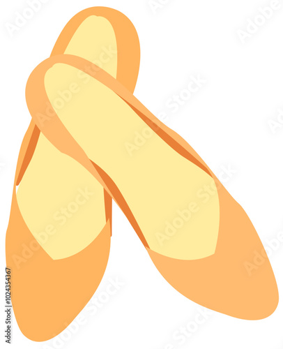 woman shoe sandal