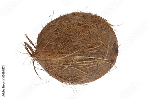 whole coconut isolated on white