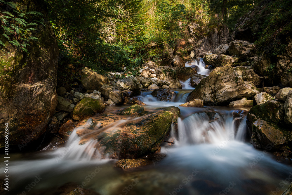 Obraz premium Potok Javornik