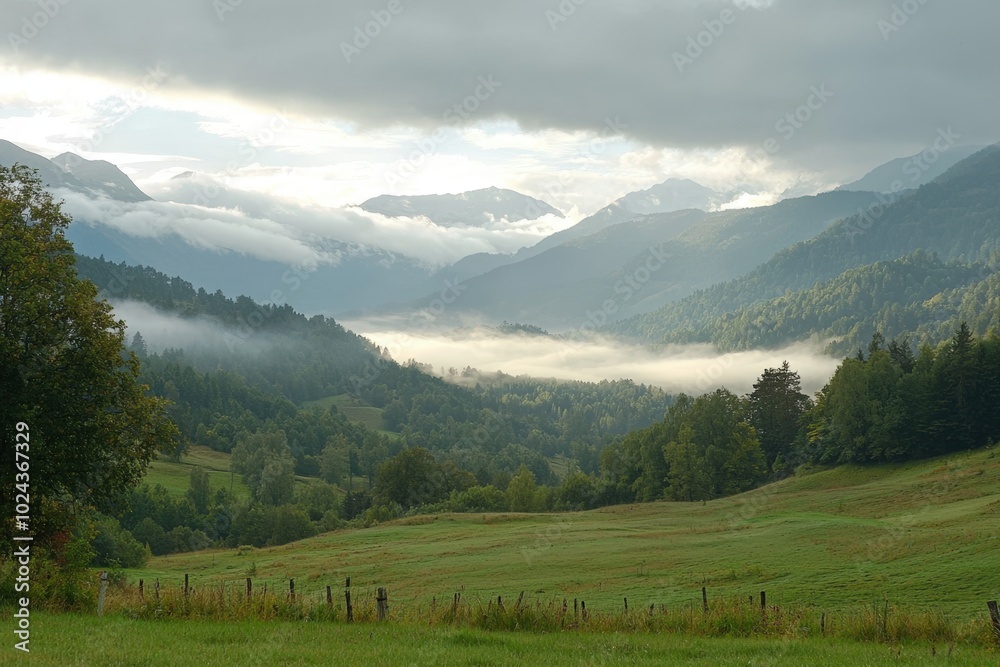 Serenity in the mountains as mist envelops lush valleys and rolling hills at dawn Serenity in the mountains as mist envelops lush valleys and rolling hills at dawn