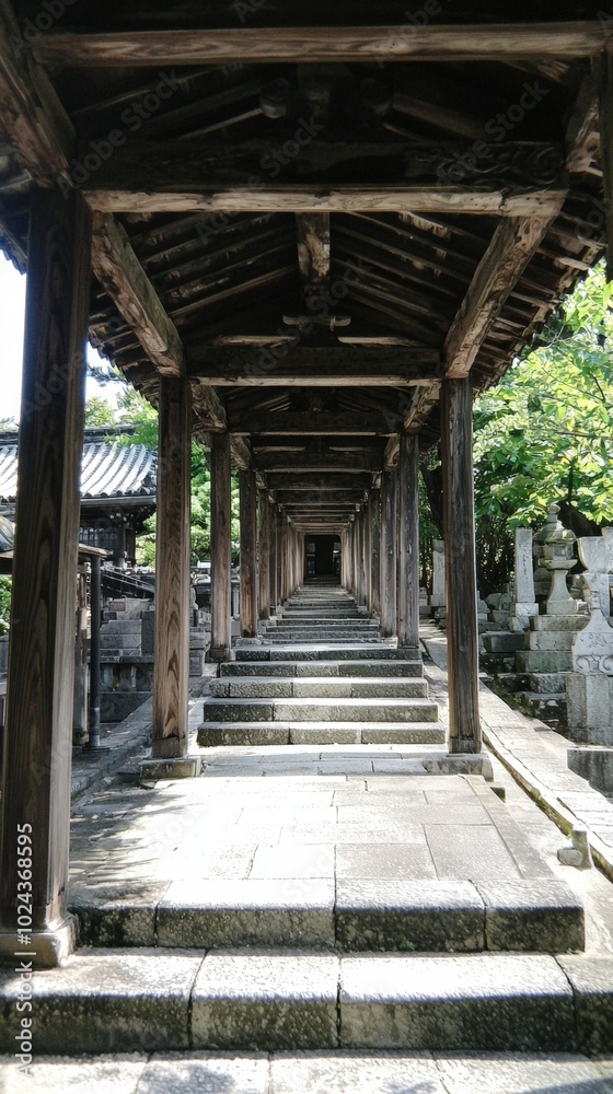 A serene pathway lined with wooden archways leads to a tranquil temple in Japan's nature A serene pathway lined with wooden archways leads to a tranquil temple in Japan's nature