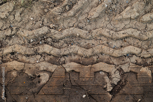 impronte di grandi pneumatici su un terreno fatto di terra marrone, misto bagnata e secca photo