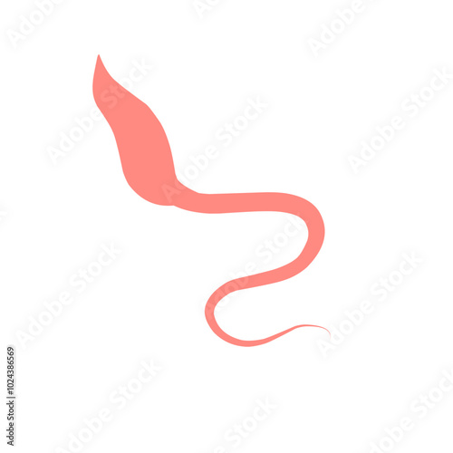 Whipworm Vector Illustration  photo