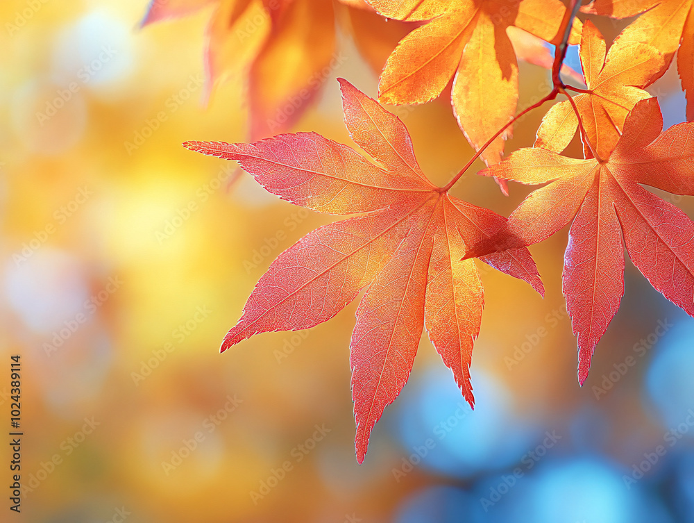 autumn scene with fallen leaves on a stone path, framed by autumn trees and a clear blue sky. autumn scene with fallen leaves on a stone path, framed by autumn trees and a clear blue sky.