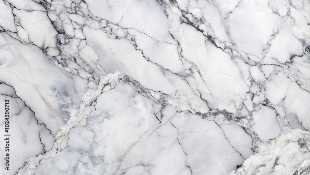 Texture of panoramic black and white marble background scan Texture of panoramic black and white marble background scan