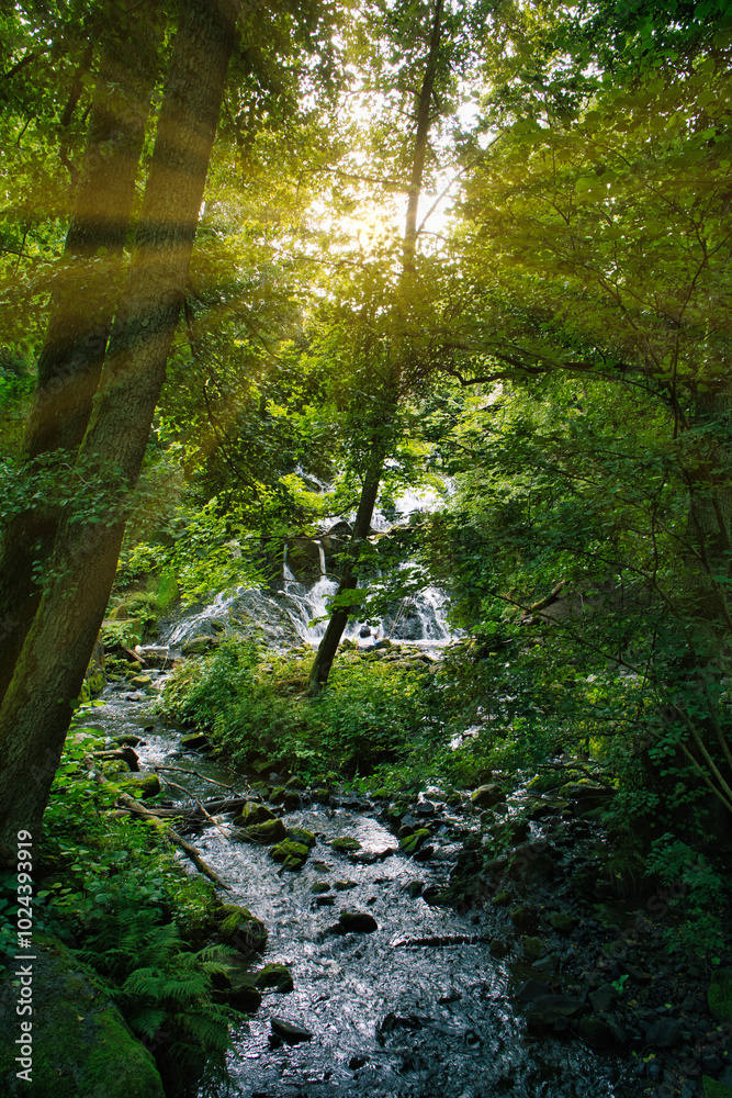 Obraz premium Small waterfall flows into a stream in Sweden. Forest on the riverbank.