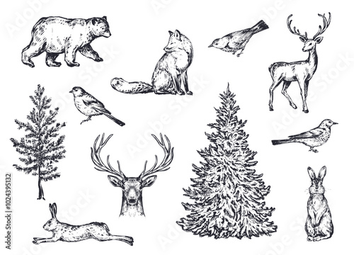 Vector set of winter forest animals and trees. Vintage collection.