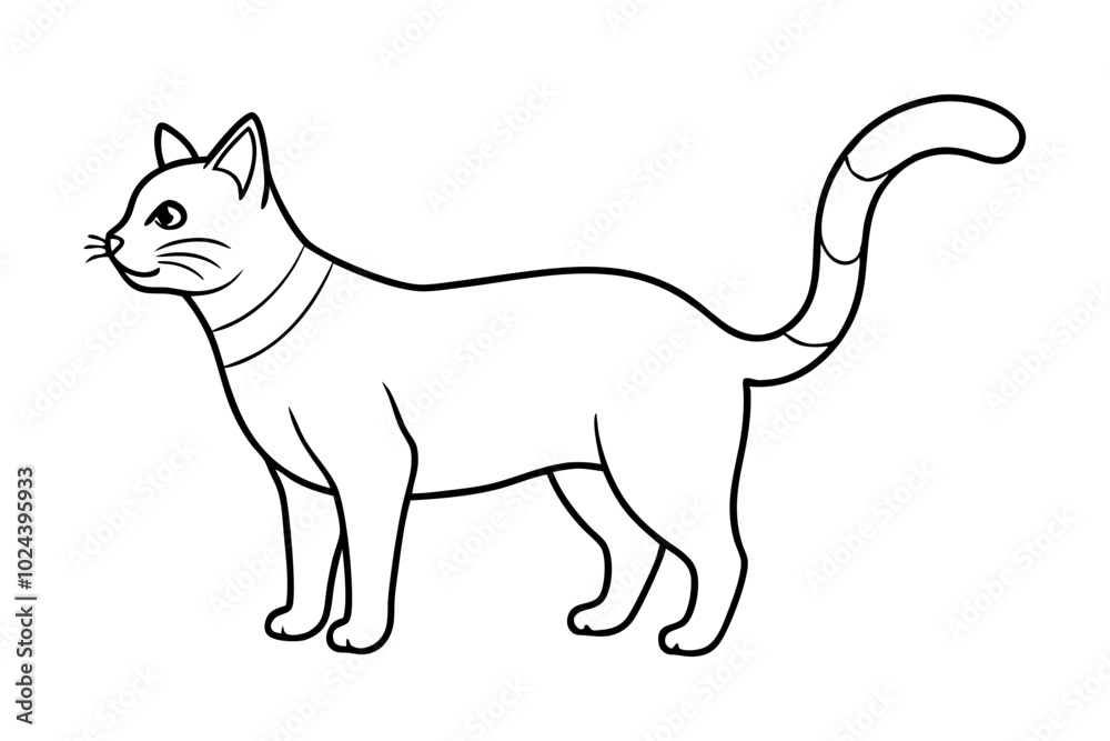 illustration of a cat illustration of a cat