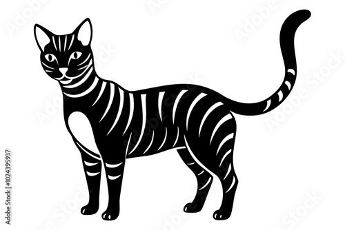 black and cartoon zebra