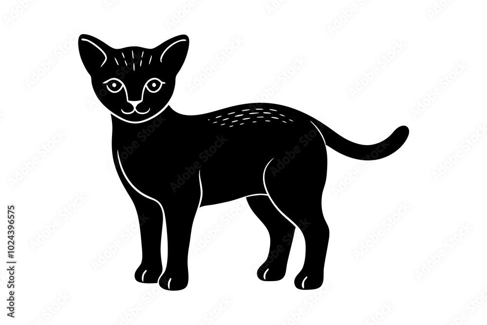 black cat isolated on white black cat isolated on white