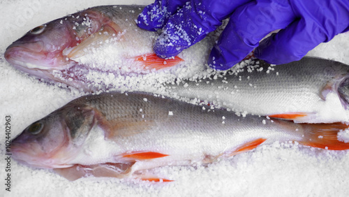   rubbing fish with salt, preparing for drying    