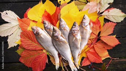   dried fish (perca), in autumn leaves, on a wooden background. concept: eating freshwater fish   photo