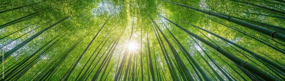 Lush Bamboo Forest with Towering Green Stalks Lush Bamboo Forest with Towering Green Stalks