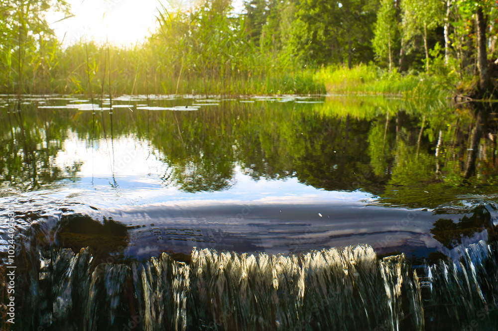 Obraz premium Waterfall in front of a lake in Sweden. Water lilies and reeds in the water. Trees