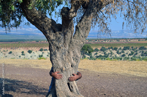 Person hugging an olive tree