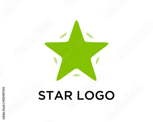 Creative Star Logo Design Template