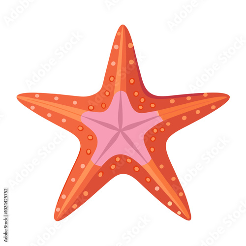 illustration of a starfish no background