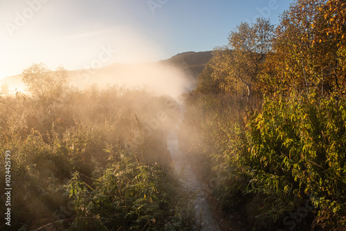 fog over a hot thermal spring
