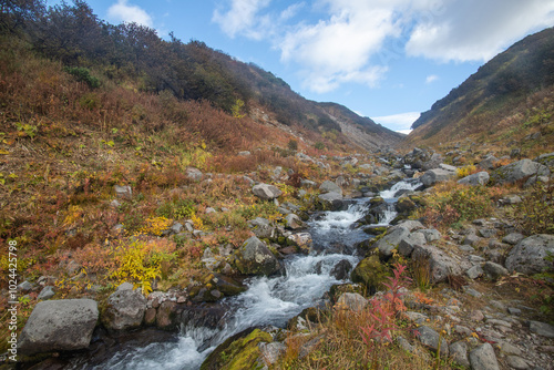 mountain stream