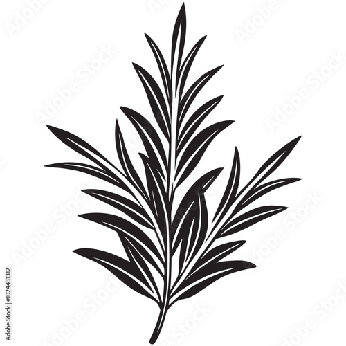 Isolated Rosemary Herb Silhouette Vector Graphic