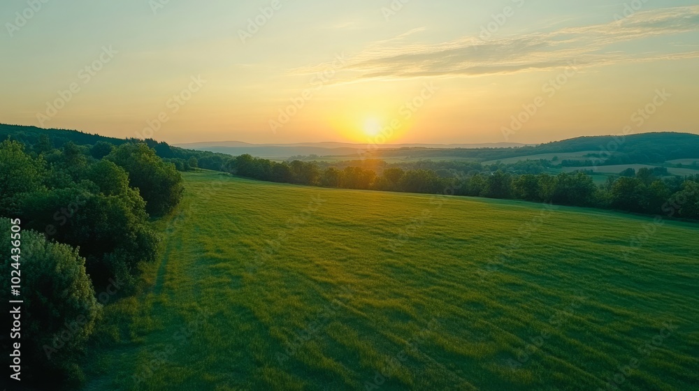 Fototapeta premium Aerial view of emerald field at dusk.