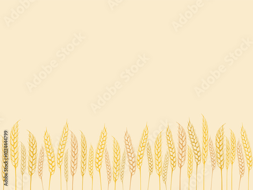 Wheat spikelets golden yellow horizontal template with copy space. Ripe ears of cereal crops barley, millet, wheat, rye, autumn banner. Cereal harvest, vector graphic