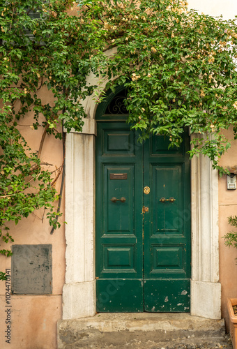 Old weathered green wooden door