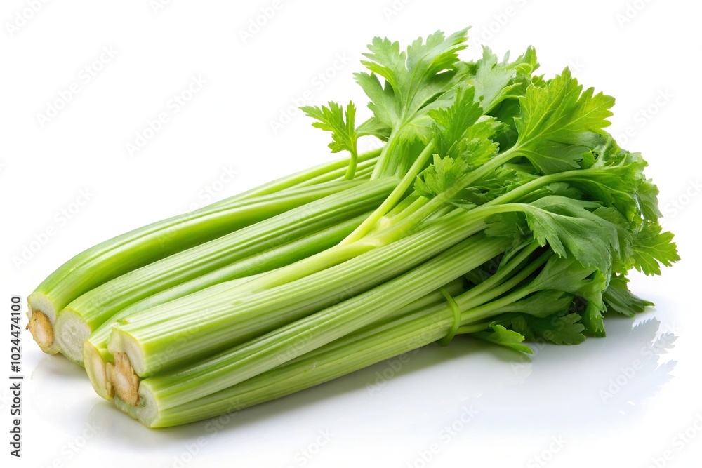 Macro Celery with crisp watercolor stalks isolated on white background Macro Celery with crisp watercolor stalks isolated on white background