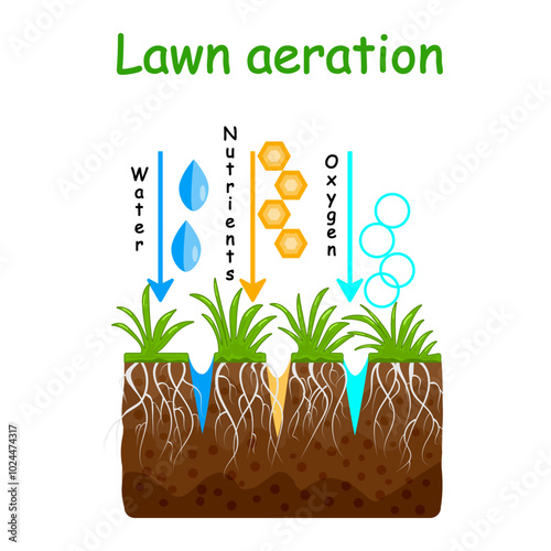 Lawn aeration. Lawn aeration stage.Water, oxygen, air, nutrients and fertilizer access to soil.Lawn grass care, gardening service, benefits of aeration.Lawn core for grassland care.Vector illustration
