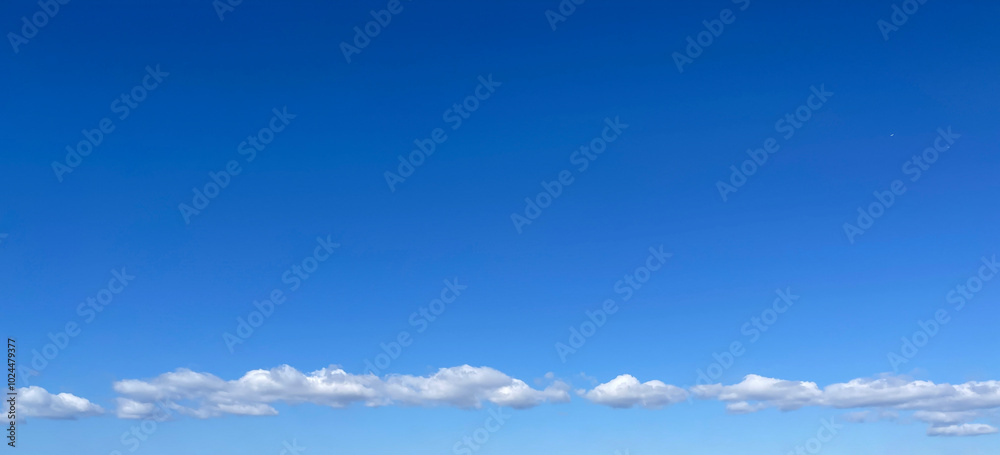Obraz premium 青い空と一列に流れるもくもく雲