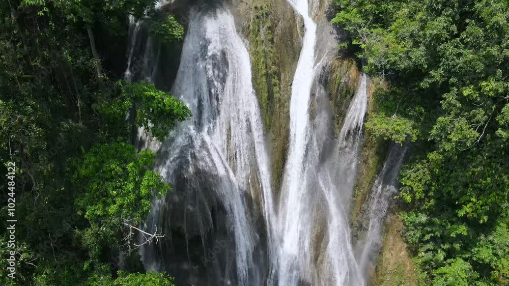Gently flowing waterfalls bring peace and harmony within the rainforest.