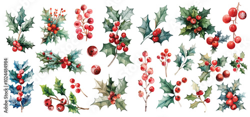 Watercolor festive mistletoe plants green holly leaves and berries Christmas decoration hand drawn illustration