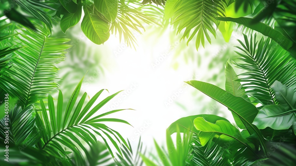 Lush Greenery with Light Glow Lush Greenery with Light Glow