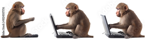 Monkey with computer nuresery watercolor photo