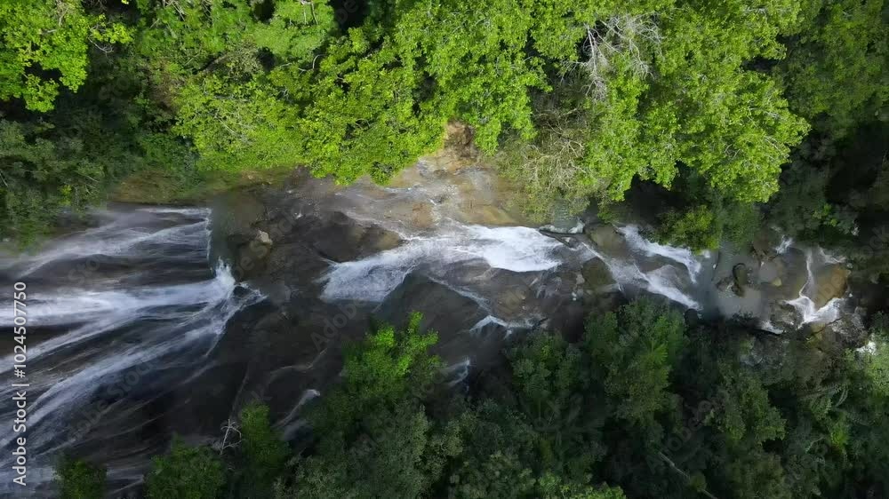 Enchanting waterfalls create a beautiful landscape within the rainforest. Enchanting waterfalls create a beautiful landscape within the rainforest.