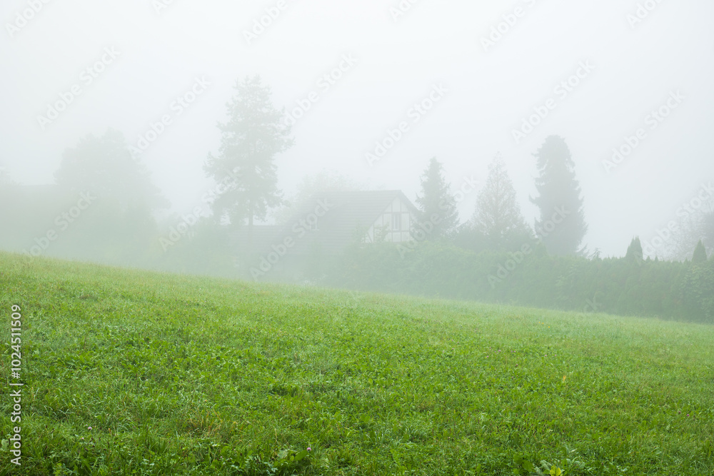 Fototapeta premium Thick morning for on green hill and forest trees in the background just before sunrise, no people