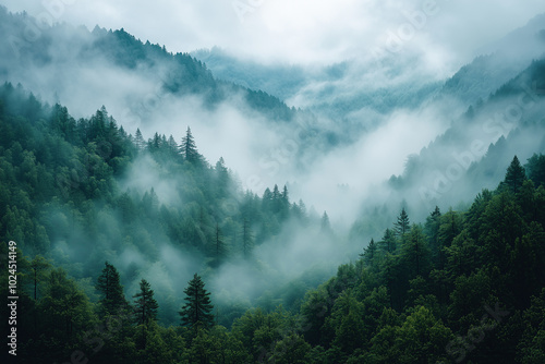 Foggy Mountain View in Vibrant Colors and High Contrast