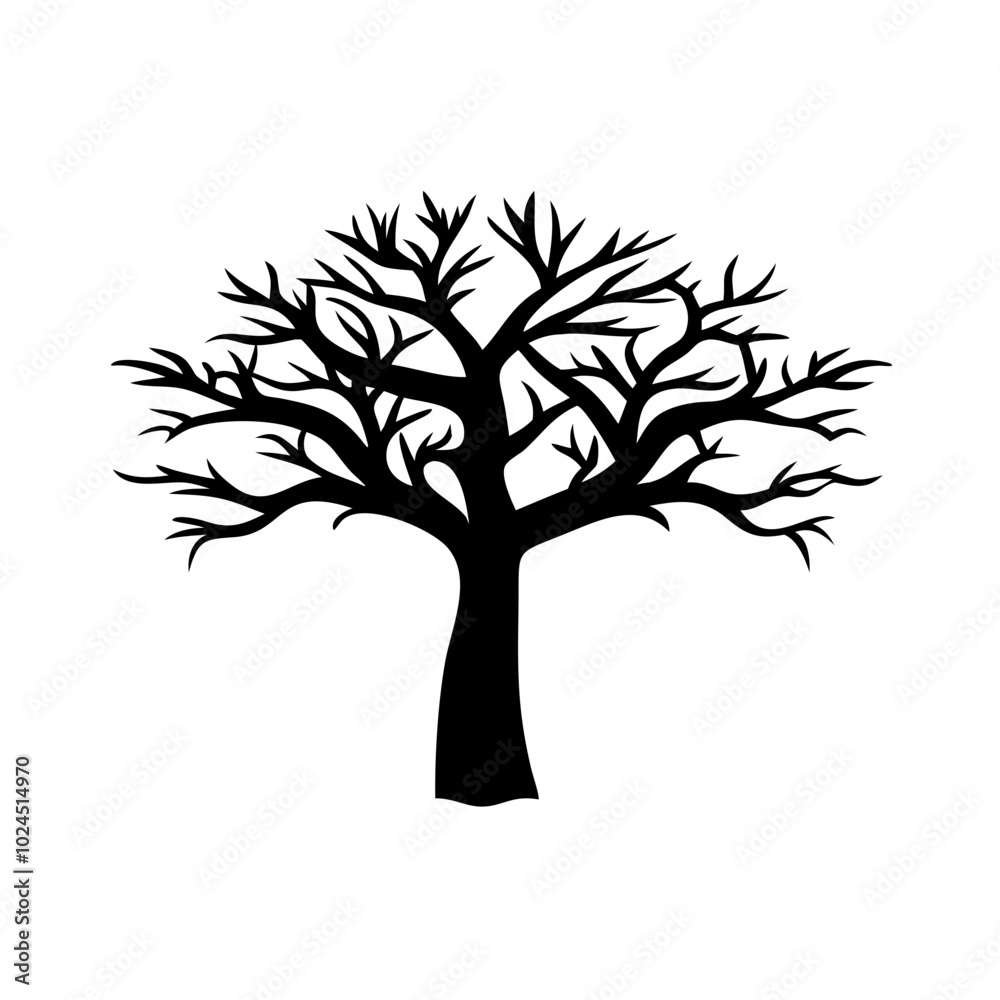 Obraz premium maclura-tree-silhouette