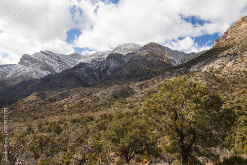 White Rock Mountain Loop, La Madre Mountains Wilderness, Nevada