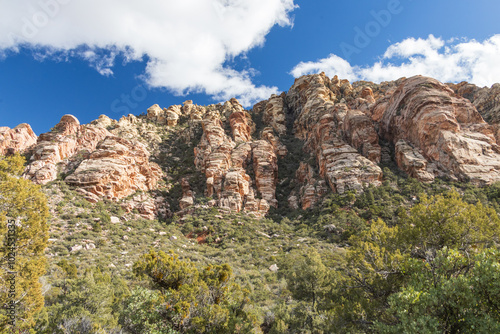 White Rock Mountain Loop, La Madre Mountains Wilderness, Nevada