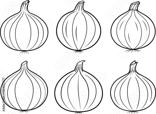 set of onion vector illustration line art