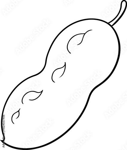 lima bean vector illustration line art